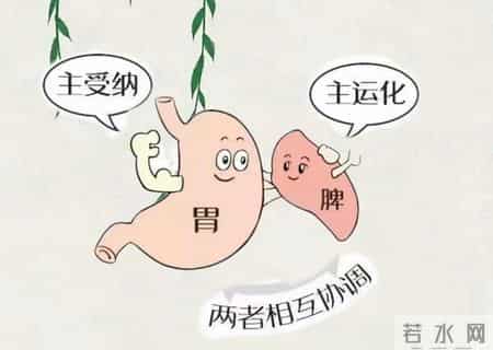 明天三九，使劲吃这菜，一清肝、二散寒、三健脾胃，别不懂吃！