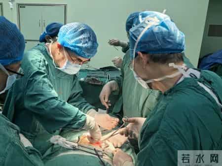 攻克难关 泌尿外科成功完成罕见重复肾移植