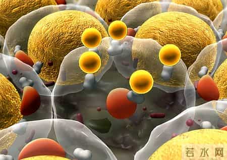 牛奶再次被关注！医生发现：高血脂人常喝牛奶，或出现这些变化