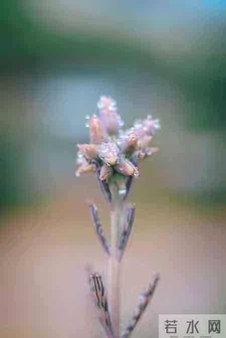 《养娃开运小妙招：明天做对3件小事，孩子悄悄变幸运》