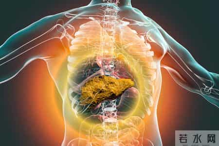 酒瘾再大也得戒！医生调查提醒：身体有这5种表现，最好把酒戒了