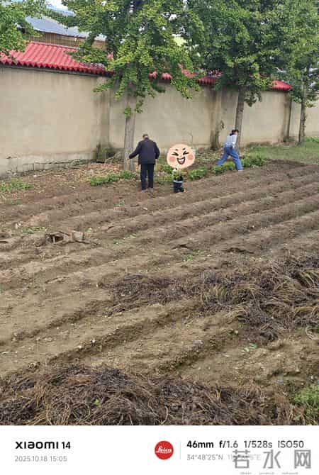 把日子过成一首无忧无虑的歌