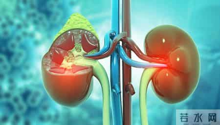 医生调查发现：血压未超这个数，无需过度担忧，照常吃睡更健康