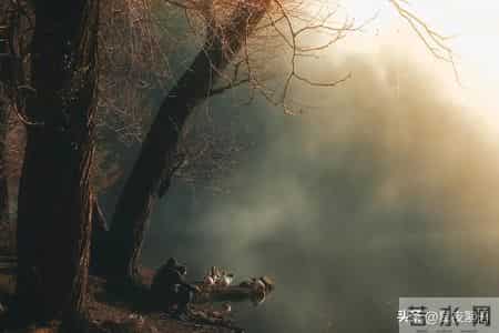 55到65岁这十年，一定要把这4件事烂在肚子里，哪怕亲兄弟也别说