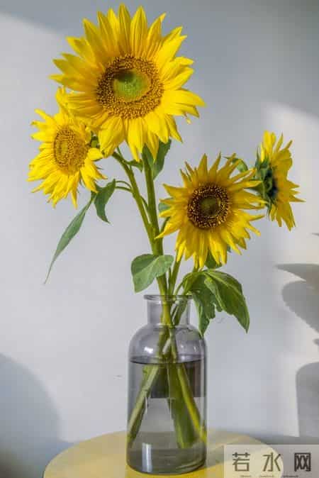 尽早告诉孩子：保护自己才是头等大事，认输投降不丢人