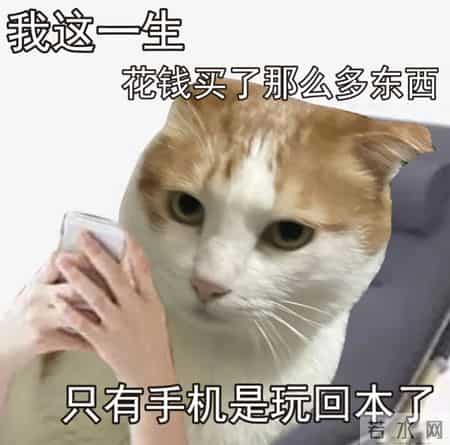 为什么现在的孩子那么沉迷手机？