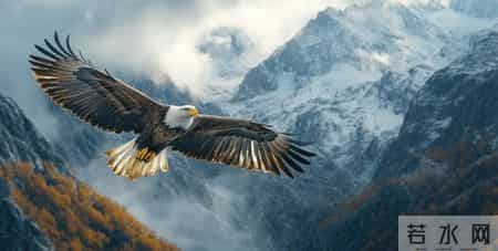 别做那颗“螺丝钉”：有用的人随时被换，有价值的人掌握定价权