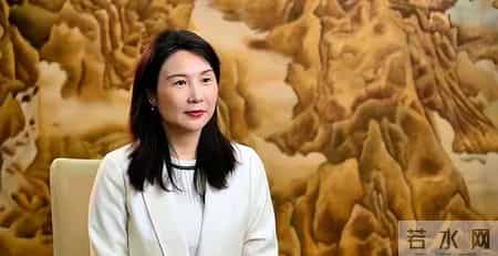 她北大毕业曾是央视记者，被评为上海劳模，今是美国高官的副总裁