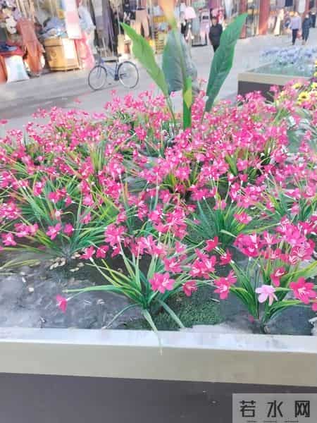 篇篇爆款我只做对了一件事：把“点赞之交”变成“走心之交”