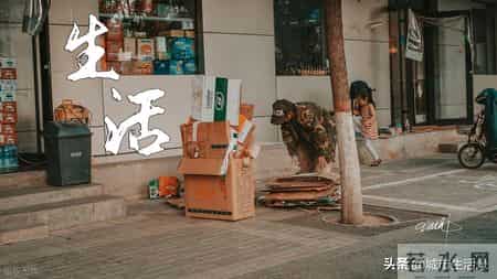 看了一些杭州自媒体博主的吐槽，我明白这是任何初入者的底层挣扎