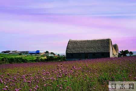 废掉一个孩子最快的方式，就是让他“按你的道理”长大
