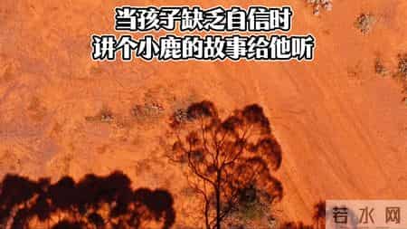 当孩子缺乏自信时，讲个小鹿的故事给他听。育儿经验＃父...