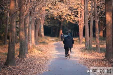 老了才明白：尽量不要跟身边任何人！包括你的亲人，分享这5件事