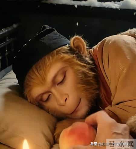 中年人的自由是什么？是既敢说“不”，也敢说“要”