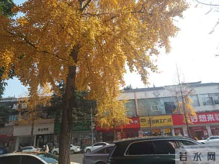 若你也是母亲，请收下这份保命符愿你的孩子，脚下生花，遇人皆善