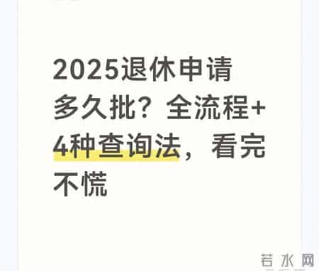 2025退休申请多久批？全流程+4种查询法，看完不慌