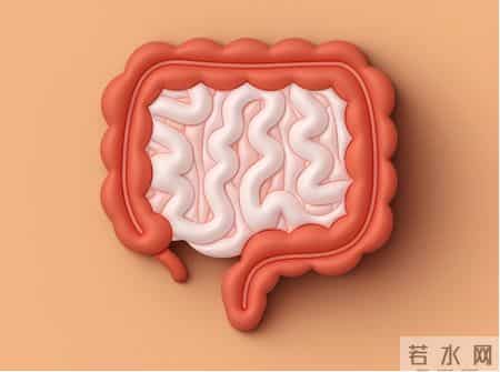 医生发现：老年人若经常吃稀饭，用不了多久，身体或有这3种变化