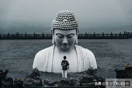 设计院“全院养老”共生模式：躺平的佛系日常