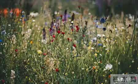 子女没出息，母亲往往是根源：尤其是这3种妈妈，再忙也要看看