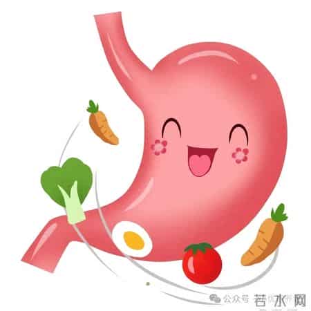 养脾胃就一个字：少，无论你吃的是什么