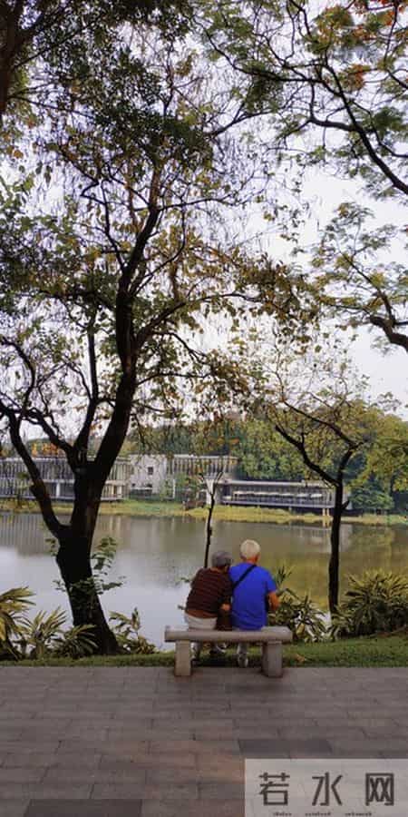 当你老了孤独一人，会跟子女一起住养老吗？听听过来人说的真心话