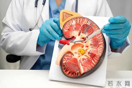 不管你有多虚，记住一个中成药，脾胃好了，肾气足了