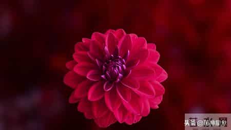 1月7日，星期三，属牛人，可能会有事发生！