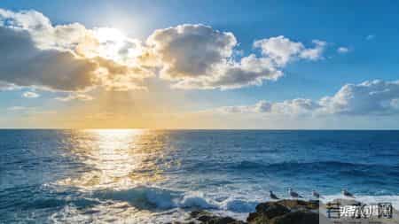 身边的亲戚朋友总爱念叨一句话：不结婚不生孩子，老了谁管你？