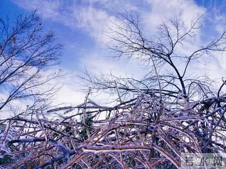 做人一定要学点江湖手段，这样才没人敢招惹你