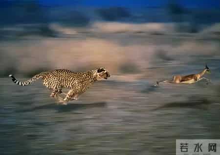 牛马致富路上的五个习惯