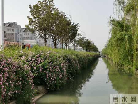 一位纪检干部对年轻中层干部道出的肺腑忠告：没有定力最好别当官