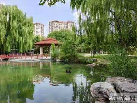 别再愁了！你家孩子的“顺风期”己到，接下来干啥都顺！