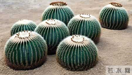 如果你到了六十，还在奔波打工，我想对你说几句真心话。