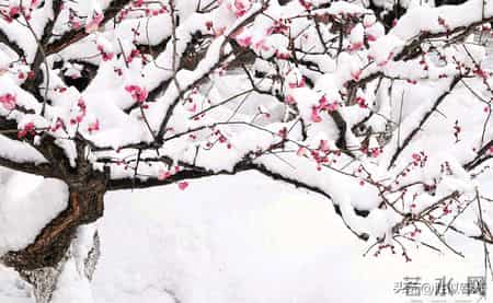 父母没钱，没背景，却有严格的家教，这种孩子的未来怎么样