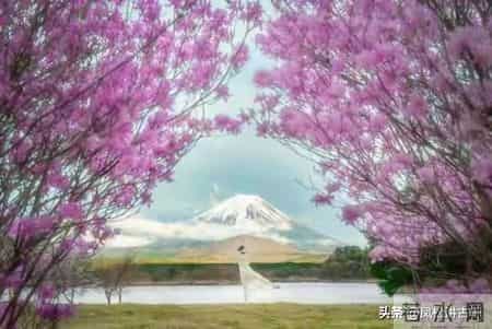 两性关系：单身老年人搭伙养老，一定要重视这几件事