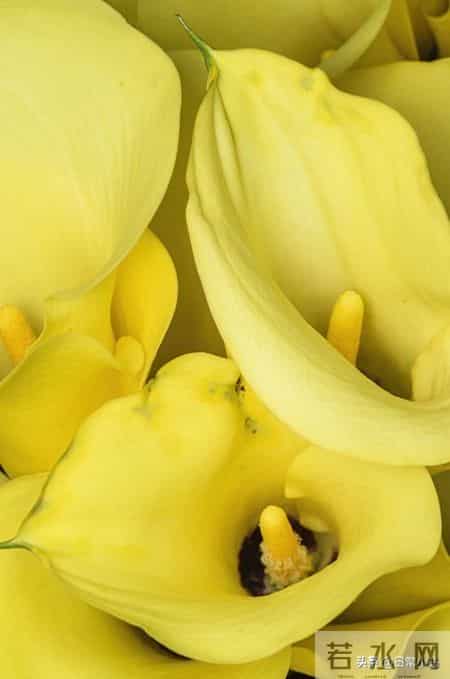 人到晚年，守住这几样才是真福气