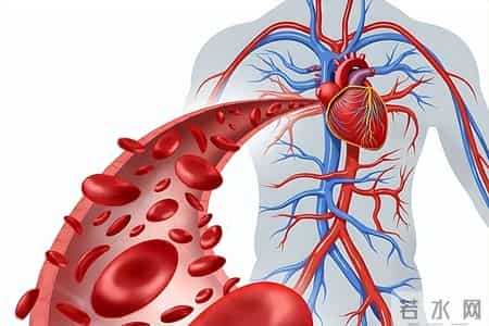 上海交大发现：若血压没超这个数，不用太过担心，该吃吃该睡睡