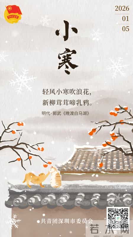 权威指引！深圳青年人才住房已开放申请→