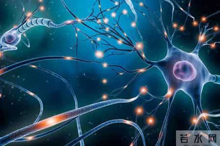 运动就能降血压？英国研究：降血压有4项“最佳运动”，不是跑步