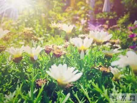 你家孩子马上要遇贵人了！但得教会他“接住”