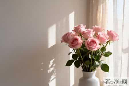 老了才明白-没这三分狠心，你的晚年就是娃眼里的鸡肋，食之无味