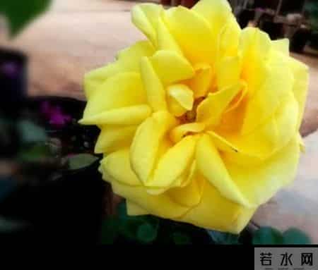 退休后赢过90%同龄人的秘诀，就在这四件小事里