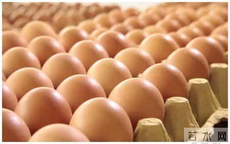 鸡蛋当早餐被推翻了？医生调查：过了52岁，吃鸡蛋尽量做到这6点