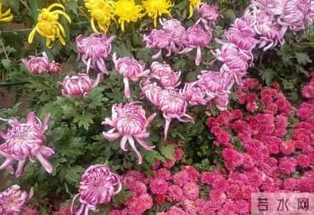 孩子离“贵人”就差一步：不是运气差，是缺了五样“接住”的本事