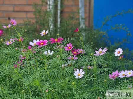 58岁攒8万被笑寒酸，一场病才知，晚年的底气不就靠这点存款给的