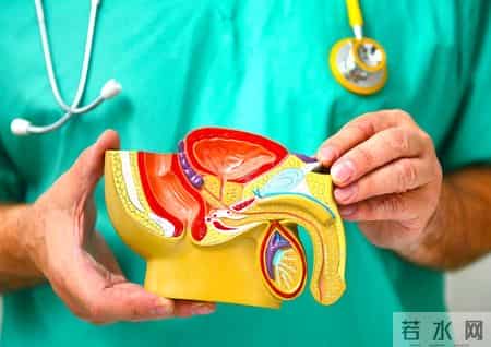 研究发现：补充1种物质可延缓睾丸衰老，提升睾酮水平！