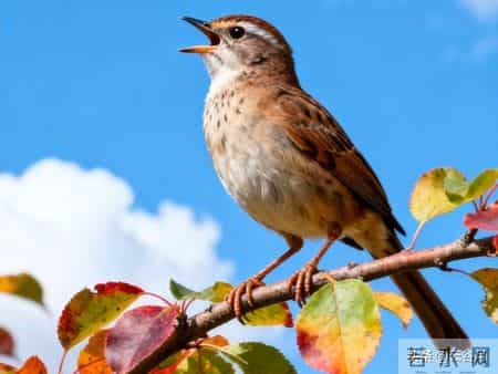 60岁才懂：不管你有没有退休金，都要学会这几个攒钱方法