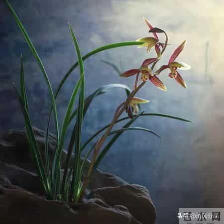 接住！福报到家，给孩子接2026一顺百顺，这样做，事事都顺！