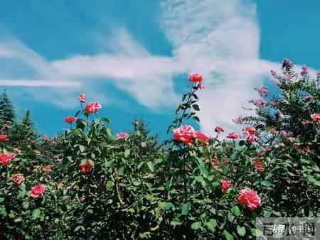 退休后才明白，50到59岁的人，2026年最好的生活方式：只有三种