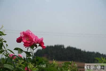 你以为60岁女性都安分？其实过了60岁，女人普遍有这7大隐秘变化